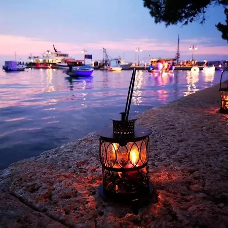 Modern With Private Pool And Garden * Pula