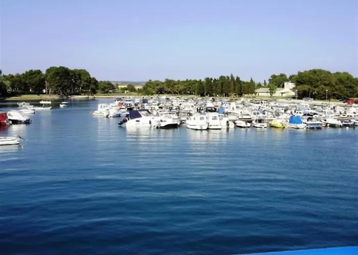 Modern With Private Pool And Garden Vila *