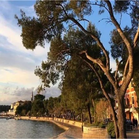 Modern With Private Pool And Garden